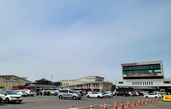 Korean War & DMZ Highlights Tour