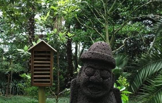 Jeju: Gardens, Beach & Culture