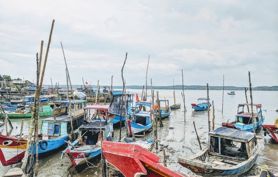 Full-Day Tour to Can Gio