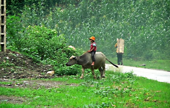 Day One of Sapa Trekking Tour: Village Trekking & Local Homestay