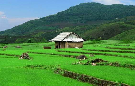 Day Two of Sapa Trekking Tour: Village Trekking Continued