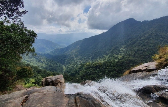 Explore Bach Ma National Park & Travel to Hoi An