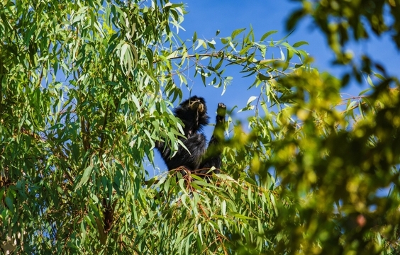 Travel to Cat Tien National Park, Explore the Botanical Garden & Night Jeep Ride