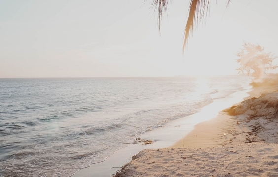 Travel to Ho Tram & Free Time